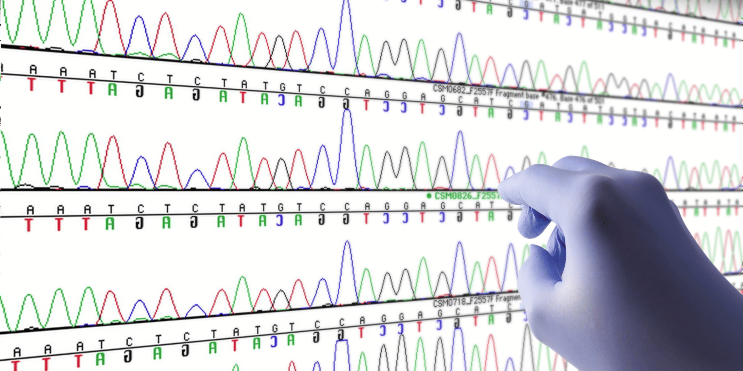 Bioinformatics Solutions